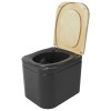262103-trenntoilette-trelino®-origin-m-anthrazit