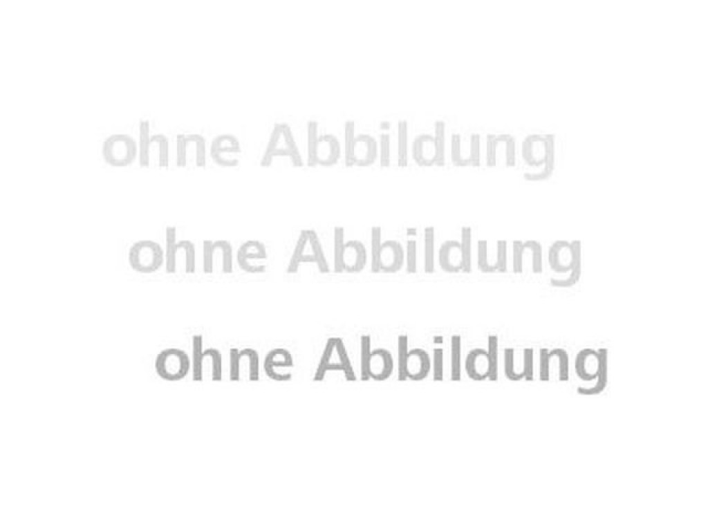 ohne_abbildung971